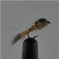 NY0264 - GR Hares Ear - Str.16<br>