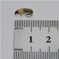NY03103 - Hares ear and creame  - Str.12<br>