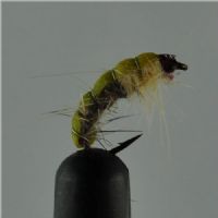 NY03103 - Hares ear and creame  - Str.12<br>