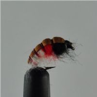 NY0324 - Richel no. 4 - Str.14<br>