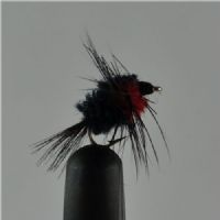 NY0374 - Montana  S/S Ny - Str.16<br>