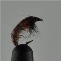NY0382 - CZ Red Rhyacoplya - Str.14<br>