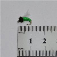 NY0383 - Z-Wing Pupa Lime - Str.14<br>