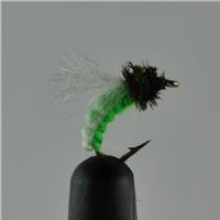 NY0383 - Z-Wing Pupa Lime - Str.14<br>