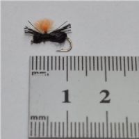 NY0391 - Black Beetle - Str.14<br>