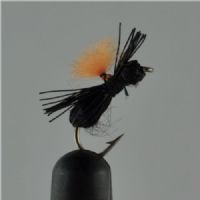 NY0391 - Black Beetle - Str.14<br>