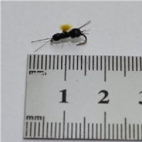 NY0392 - Black Beetle - Str.16<br>