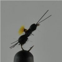 NY0392 - Black Beetle - Str.16<br>