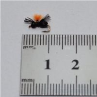 NY0393 - Black Beetle - Str.18<br>