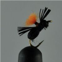 NY0393 - Black Beetle - Str.18<br>
