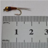 NY0413 - GH Bivisible - Str.12<br>