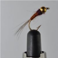 NY0413 - GH Bivisible - Str.12<br>