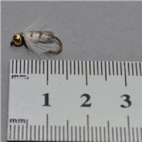 NY0423 - GH Corixa ny - Str.12<br>