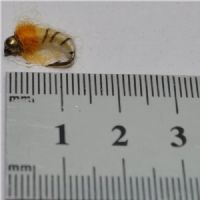 NY0441 - GH Sedge Puppa - Str.12<br>