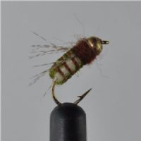NY0452 - GH La Fontane Pupa Tan  - Str.12<br>