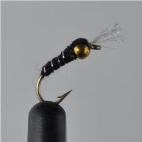 NY0463 - GH Black Buzzer - Str.12<br>