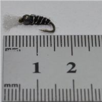 NY0464 - GH Black Buzzer - Str.14<br>