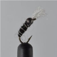 NY0464 - GH Black Buzzer - Str.14<br>
