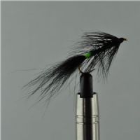 NY1323 - Kola killer - Str.8<br>