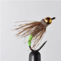 NY1324 - BH Barbless Caddis - Str.8 UF<br>