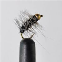 NY1341 - BH Giffins Gnat  - Str.14<br>