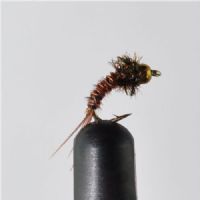 NY1354 - GH Pheasant Tail ny curved - Str.18<br>