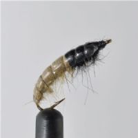 NY1362 - Caseless Caddis Ny  Tan - Str.12<br>