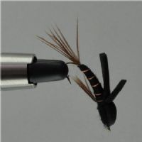 PAR0133 - Long Shank - Foam Emerger Black - Farve: Sort - Str. : 10