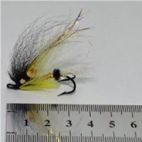PAR0434 - Black&Yellow Gold body J.C. - Str.4<br>