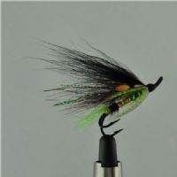 PAR0442 - Grey/Green Gold body j.c - Str.6<br>