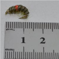 RIC0222 - Cz Hot Spot Shrimp - Str.12<br>