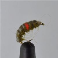 RIC0222 - Cz Hot Spot Shrimp - Str.12<br>