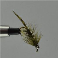 RIC0231 - Long Shank - Slagterreje Olive - Farve: Oliven - Str. : 8