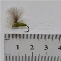 RIC0233 - Barbless Rhodani dun  - Str.12<br>