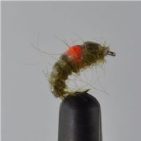 RIC0243 - Cz Hot Spot Shrimp - Str.14<br>