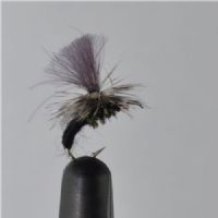 RIC0244 - CDC Klinkhammer - Str.16<br>