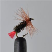 RIC0431 - Red Tag Tiny Tail - Str.12<br>