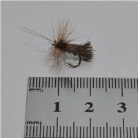 RIC0842 - G H Sedge Green Under - Str.12<br>