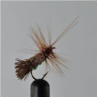 RIC0842 - G H Sedge Green Under - Str.12<br>