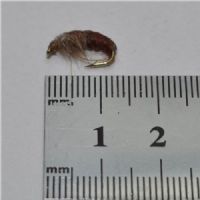 RIC0843 - Cz. ny Hares ear rusty - Str.12<br>
