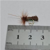 RIC0844 - G H Sedge Orange Under Copy - Str.14<br>