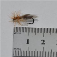 RIC0862 - Barbless Europa 12  - Str.12<br>Barbless udgave af Europa 12,  et must i enhver flueboks i Norden