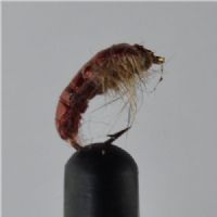 RIC0864 - Czeck Ny Hares Ear Rusty - Str.14<br>
