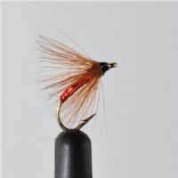 STR0123 - Glomma  singel - Str.12<br>