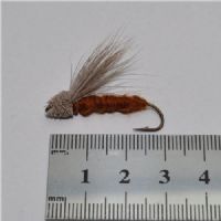 STR0131 - Streaking Caddis l/s - Str.6<br>