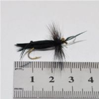 STR0134 - Graeshopper - Str.10<br>