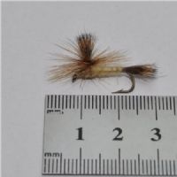 STR0141 - Danica Parashute Dun - Str.8<br>