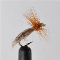 STR0143 - Europa 12 - Str.12<br>