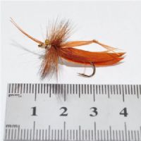 STR0153 - Graeshopper - Str.10<br>