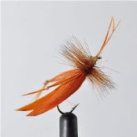STR0153 - Graeshopper - Str.10<br>